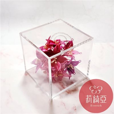 【Y0014】日本製雙抽式壓克力透明盒